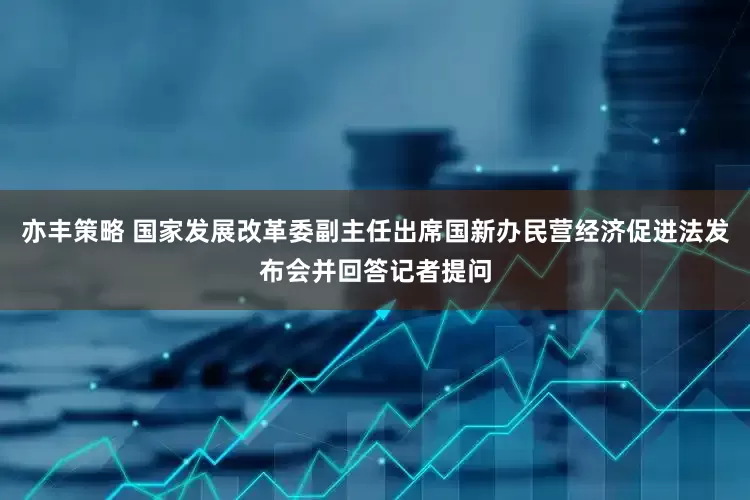 亦丰策略 国家发展改革委副主任出席国新办民营经济促进法发布会并回答记者提问