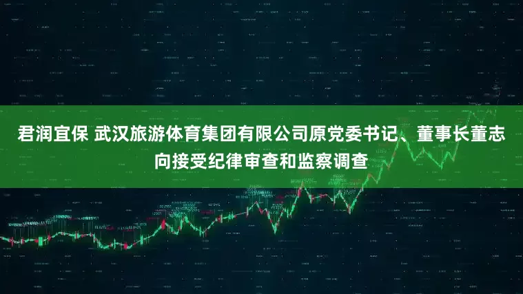 君润宜保 武汉旅游体育集团有限公司原党委书记、董事长董志向接受纪律审查和监察调查