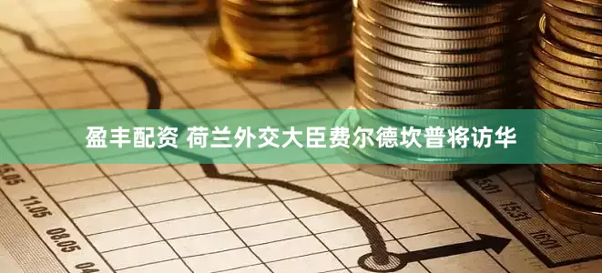 盈丰配资 荷兰外交大臣费尔德坎普将访华