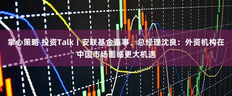 掌心策略 投资Talk丨安联基金董事、总经理沈良：外资机构在中国市场面临更大机遇