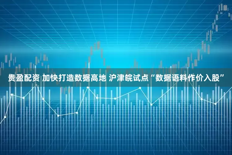 贵盈配资 加快打造数据高地 沪津皖试点“数据语料作价入股”