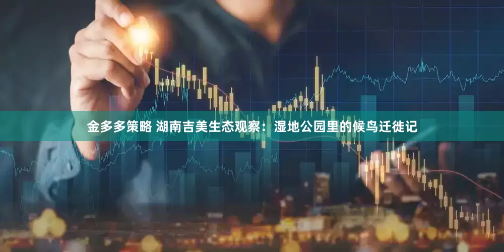 金多多策略 湖南吉美生态观察：湿地公园里的候鸟迁徙记