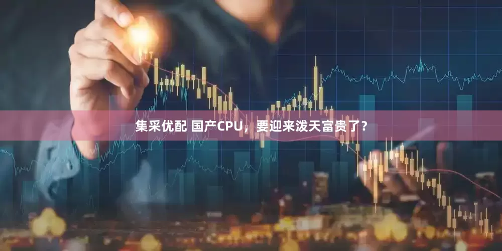 集采优配 国产CPU，要迎来泼天富贵了？